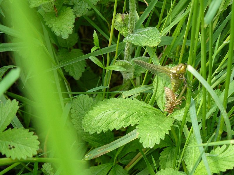 2008 05 Séjour à Martel 32
